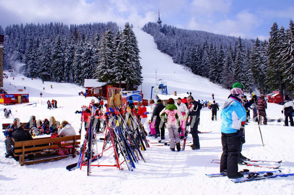 Ски & Сноуборд - Зимни спортове