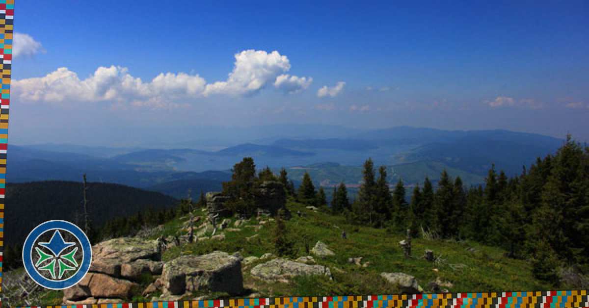 Баташки снежник