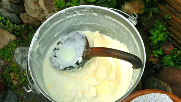 Родопчанки сами си квасят и приготвят киселото мляко.  